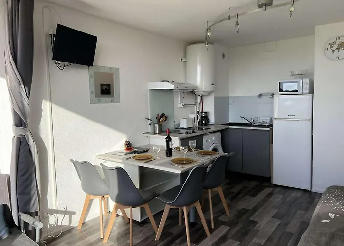 Apartament Pour 4 - Piscine, Parking, Lave-linge, Proche Commerces - Fr-1-702-23